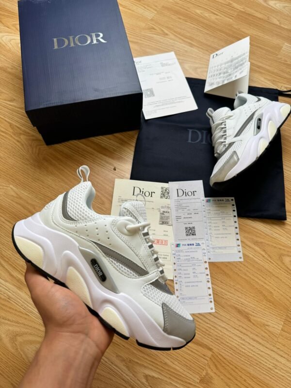 Dior B22