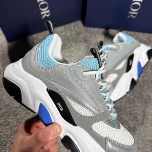 Dior B22 Grey And blue