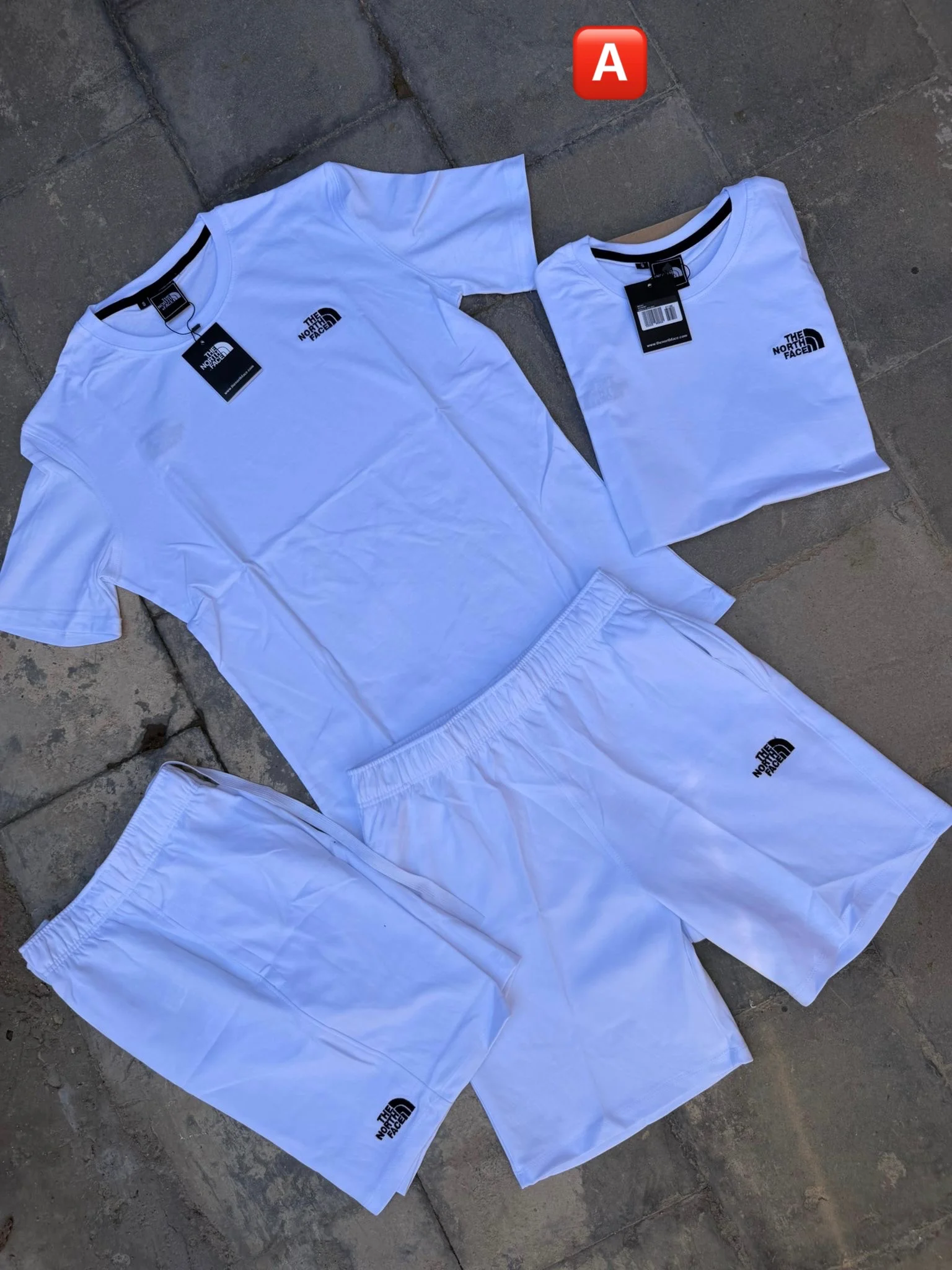 Conjunto Corto North Face